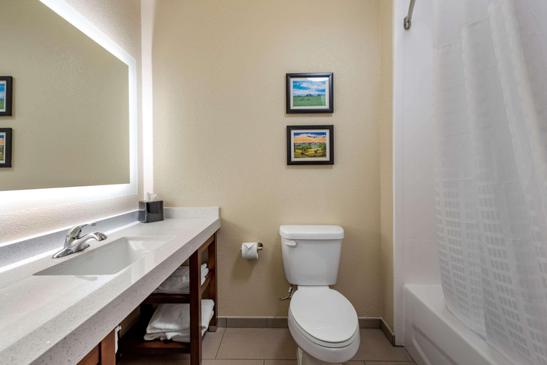 Bathroom 4, Comfort Suites Dry Ridge, Grant