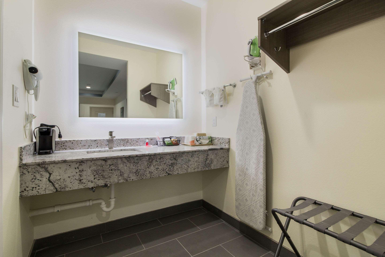 Bathroom 4, REGENCY INN AND SUITES, Houston