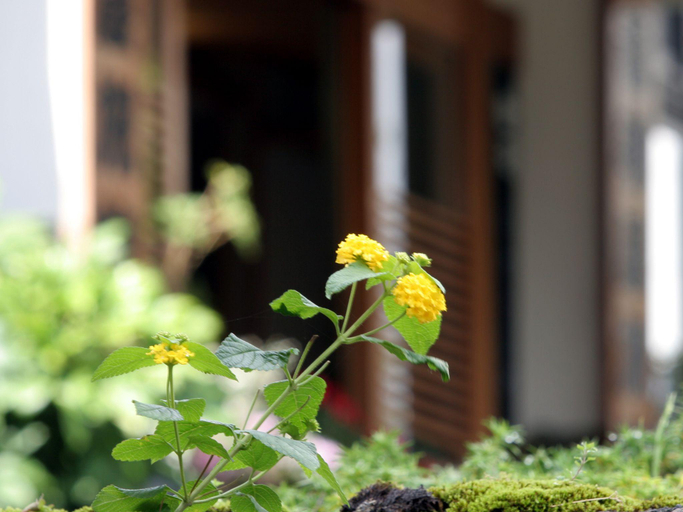 Exterior & Views, Otowaya Ryokan, Minamiuonuma