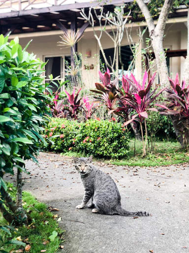 Public Area, Hualien Bali Lover Villa, Hualien
