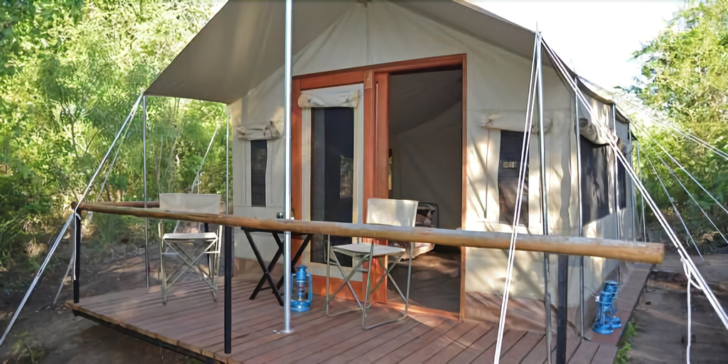 Wild Olive Tree Camp, Ehlanzeni