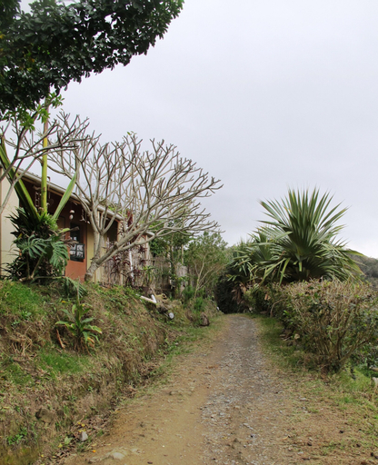 Amapondo Backpackers, O.R.Tambo