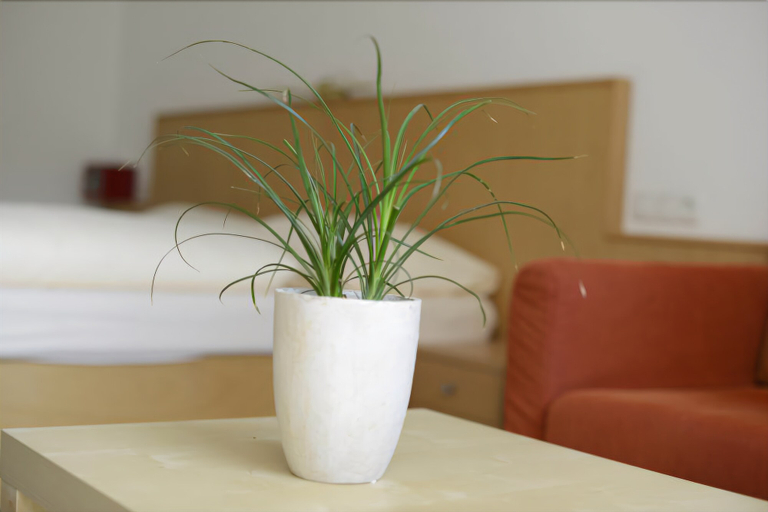 Public Area 4, Best Western Panoramahotel Talhof, Reutte