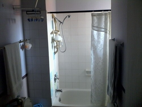 New Kingston Guest Apartment III,