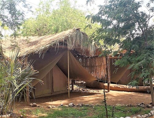 Samburu Riverside Camp, Isiolo North