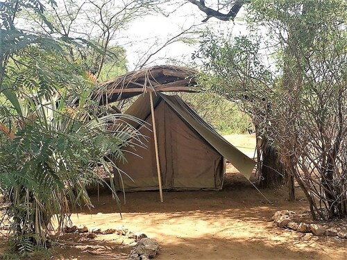Samburu Riverside Camp, Isiolo North