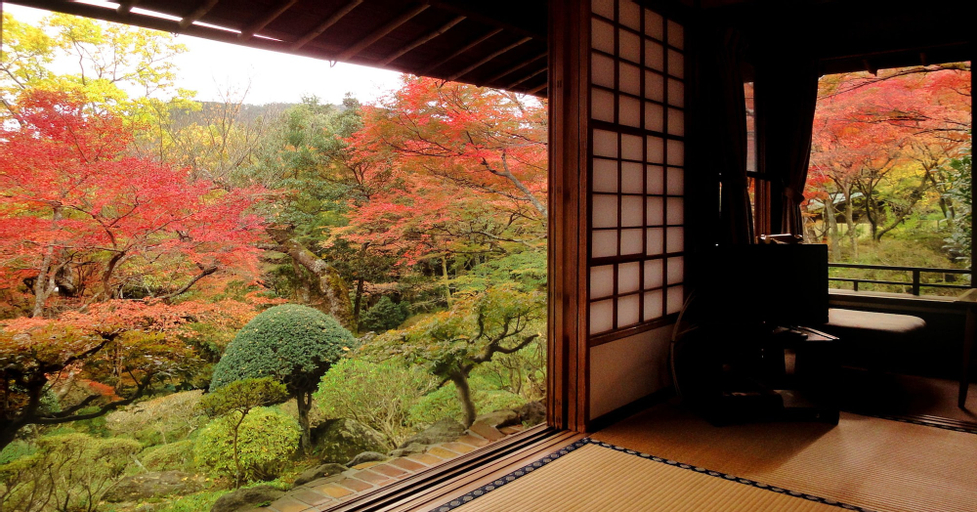 Gora Kansuiro, Hakone