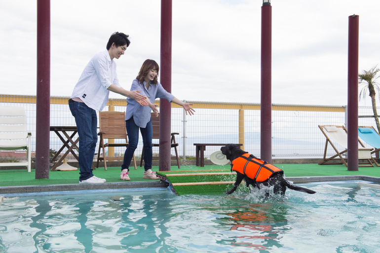 Izumigo Izukogen Dog Paradise Hotel, Itō