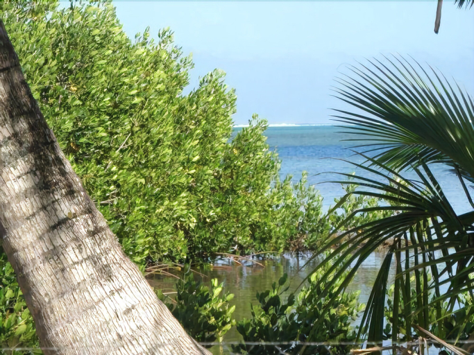 Moorea Surf Inn,