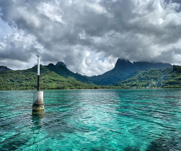 Moorea Surf Inn,