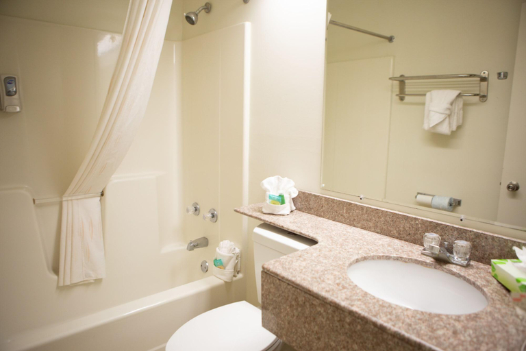 Bathroom 2, Guesthouse International Inn, Sevier