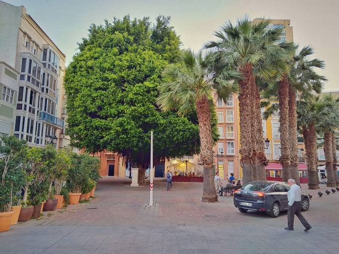 Apartamentos Alba, Murcia