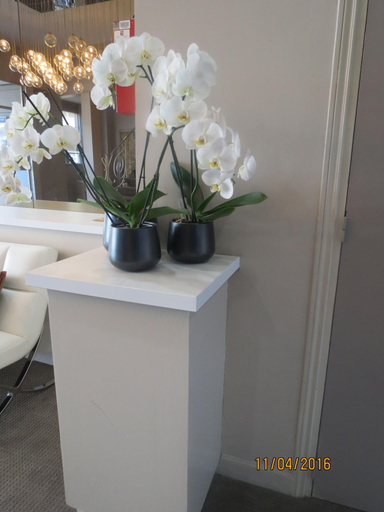 Bathroom 4, Ligure , Alpes-Maritimes