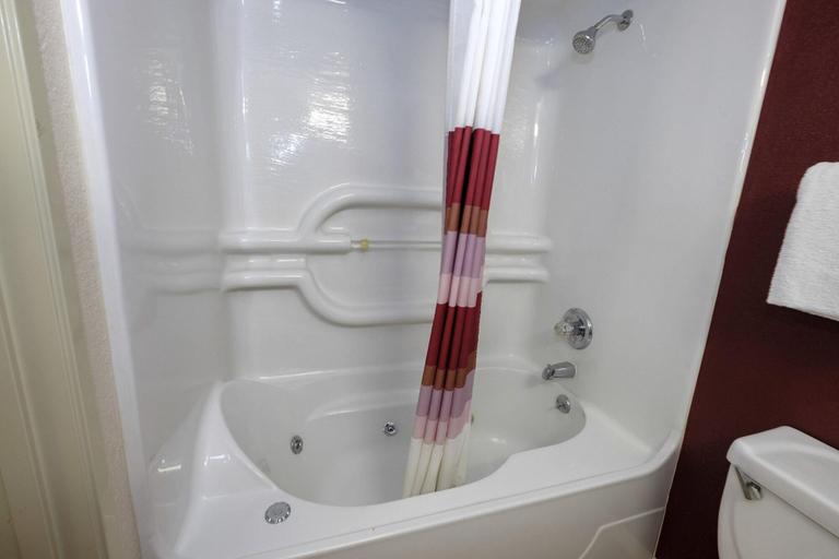 Bathroom 3, Holton Inn & Suites, Jackson