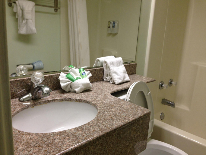 Bathroom 5, Guesthouse International Inn, Sevier