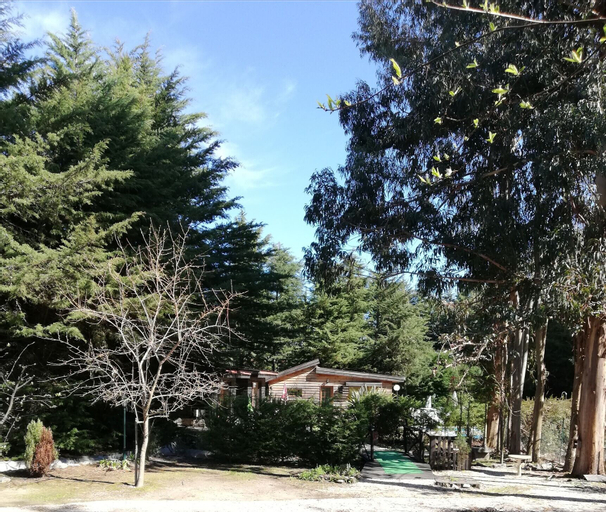 Quinta Sul America, Moimenta da Beira