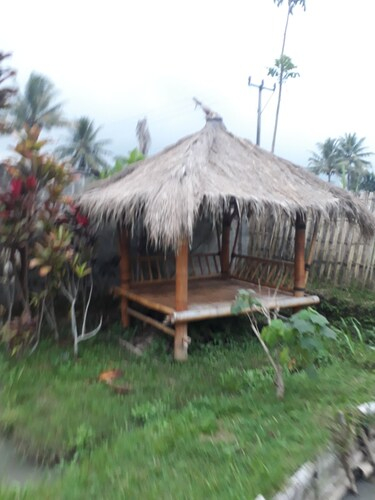 Cendrawasih Bungalows, Lombok