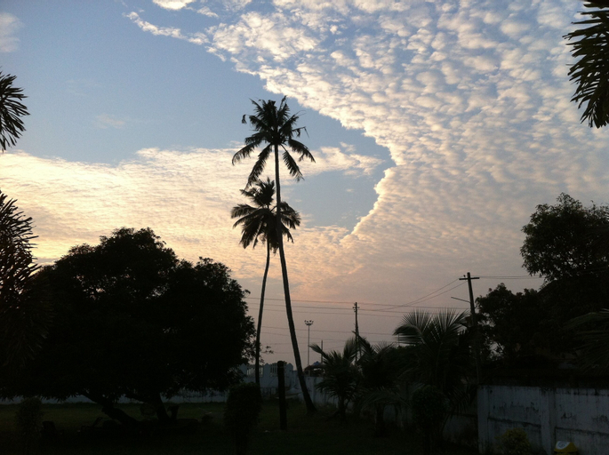 Baywatch Beach Resort, Alappuzha