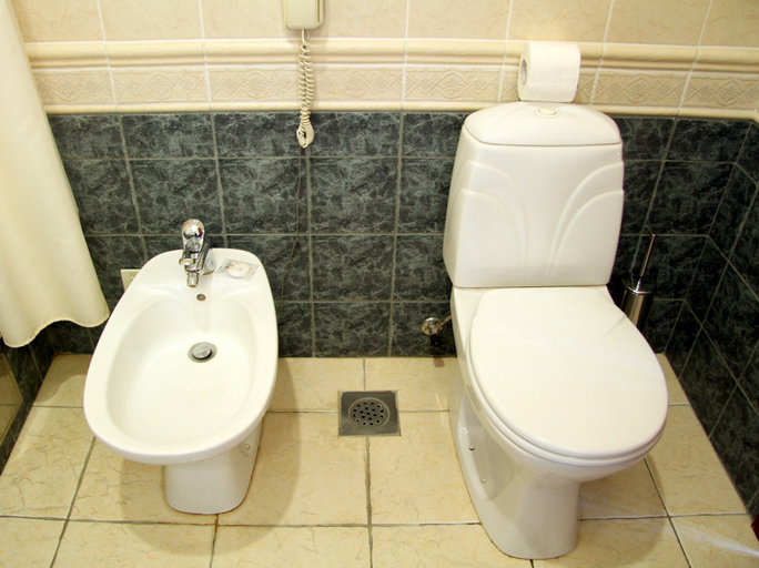 Bathroom 4, Domodedovo AirHotel, Domodedovskiy rayon