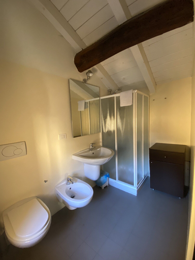 Bathroom 5, Locanda Torriani, Cremona