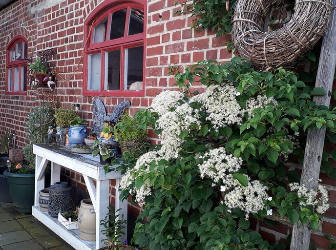 Others 5, B7 Selfkant Bed & Breakfast, Heinsberg