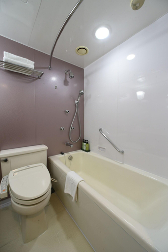 Bathroom 4, Hotel Buena Vista, Matsumoto