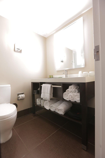 Bathroom 5, Hotel Capstone, Tuscaloosa