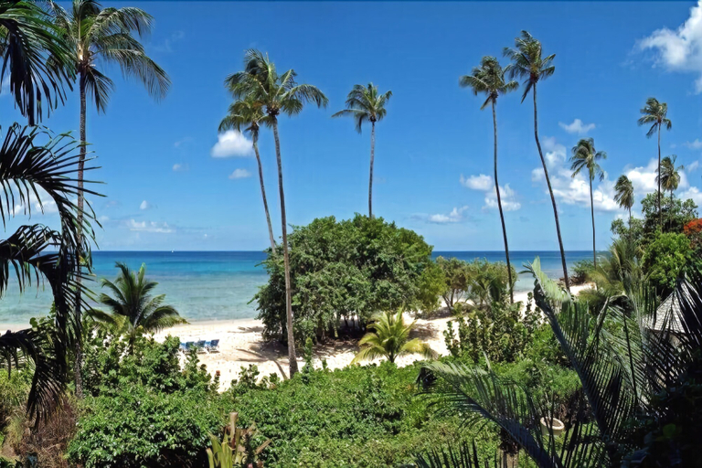 Others 4, Schooner Bay 206 - Condothe Palms