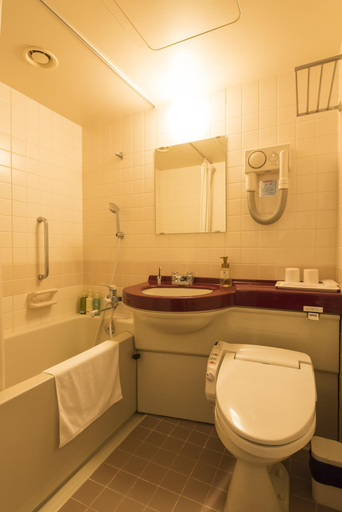 Bathroom, Katsuyama New Hotel, Katsuyama