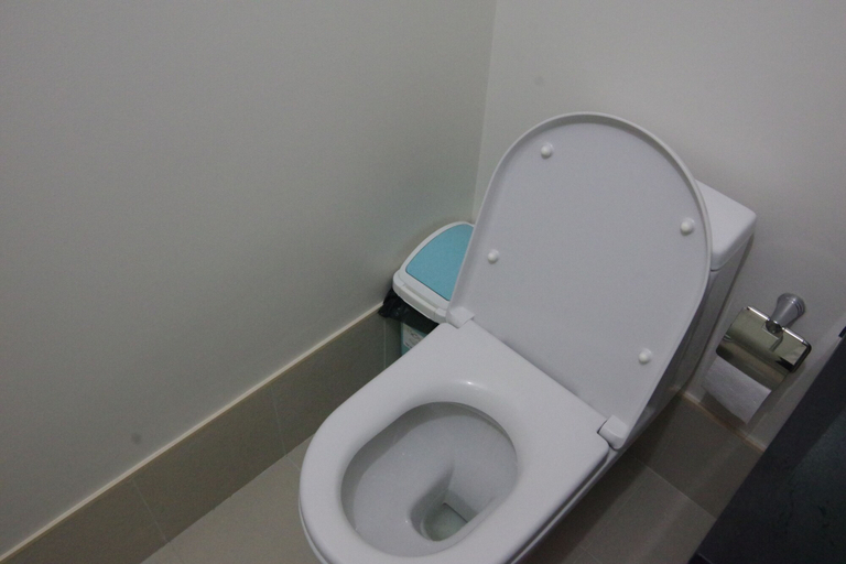 Bathroom 5, Solinea Tower 1, Cebu City