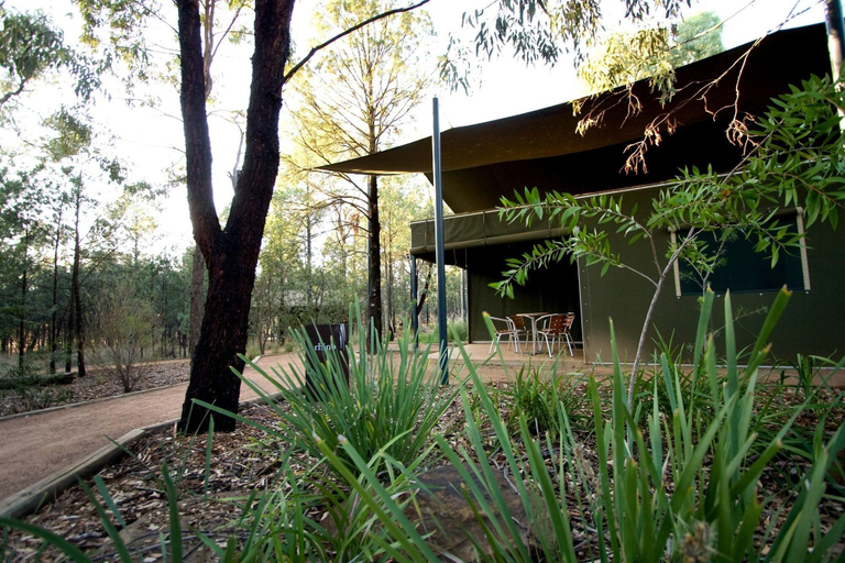 Exterior & Views 2, Zoofari Lodge, Dubbo - Pt A