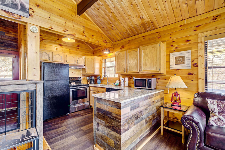Others 4, Tennessee Chalet, Sevier