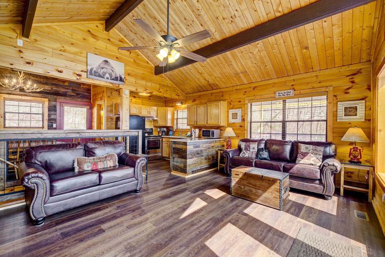 Others 5, Tennessee Chalet, Sevier