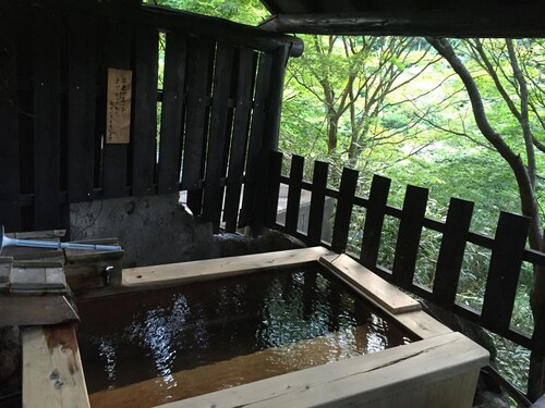 Hotel Daikogen, Kokonoe