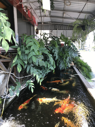 EZ House & Cafe, Muang Sukhothai