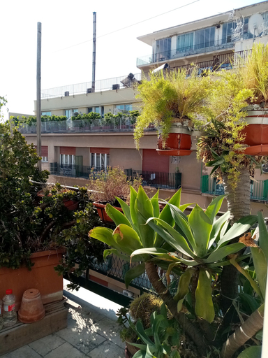 Exterior & Views 2, Ariston, Palermo