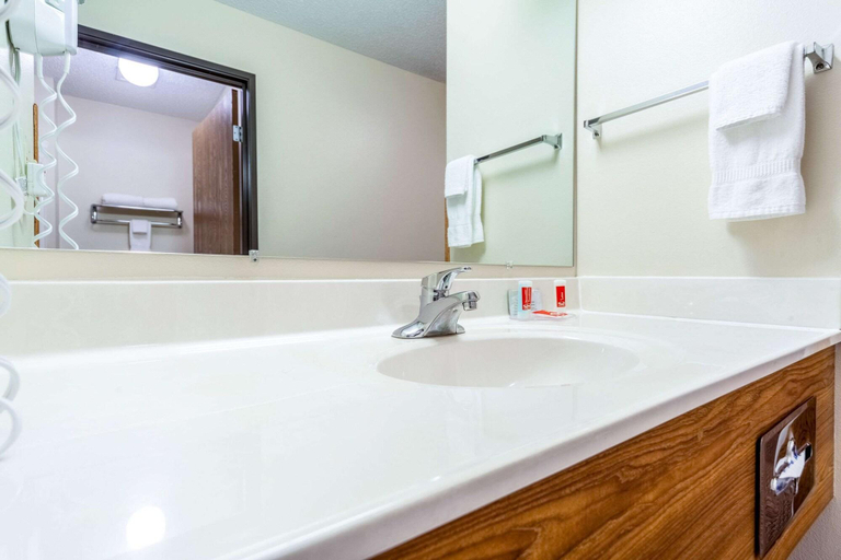 Bathroom 4, Econo Lodge Sioux Center, Sioux