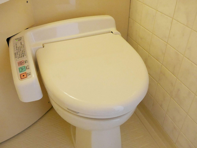 Bathroom 4, Matsue New Urban Hotel, Matsue