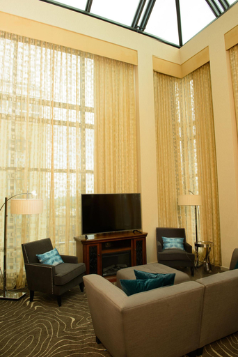 Public Area 2, Marriott Rochester Mayo Clinic, Olmsted