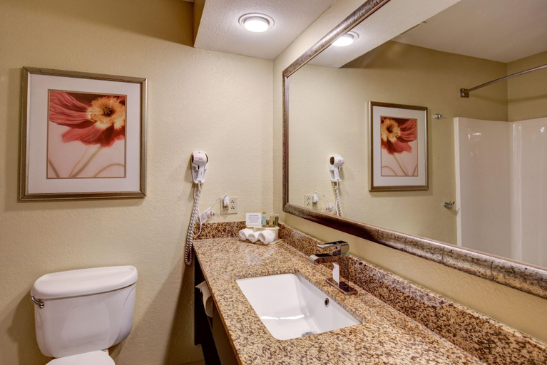 Bathroom 4, Comfort Inn & Suites St Louis, Saint Louis