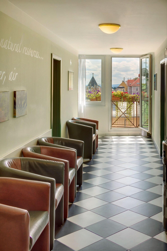 Public Area 2, Danubius Health Spa Resort Villa Butterfly, Cheb