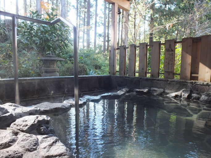 Bedroom 3, Hana no Yado Fukuya, Hakone