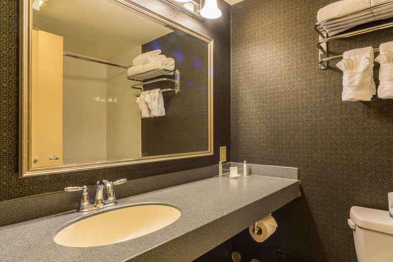Bathroom, Ramada by Wyndham Milwaukee, Milwaukee