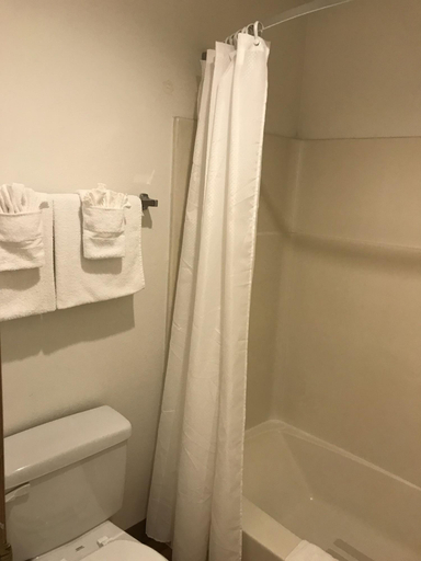 Bathroom 4, Sea-Tac Airport Value Inn, King