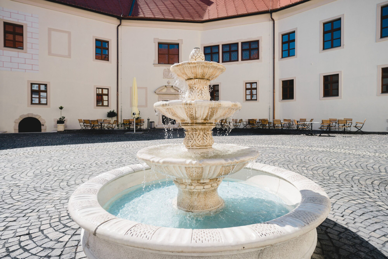 Sport & Beauty 2, Palace Art Hotel Pezinok, Pezinok