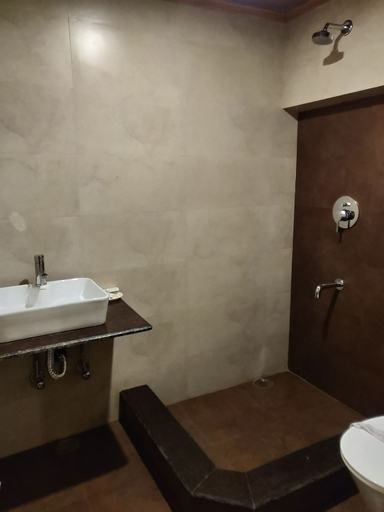 Bathroom 4, Walisons Hotel, Srinagar