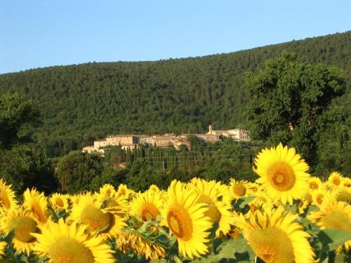 Siena Vecchia Vacanze, Siena