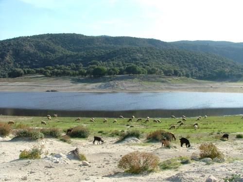 Gite a la ferme du lac Afourgaa, Sefrou