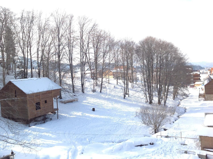 LUX apartment, Borjomi