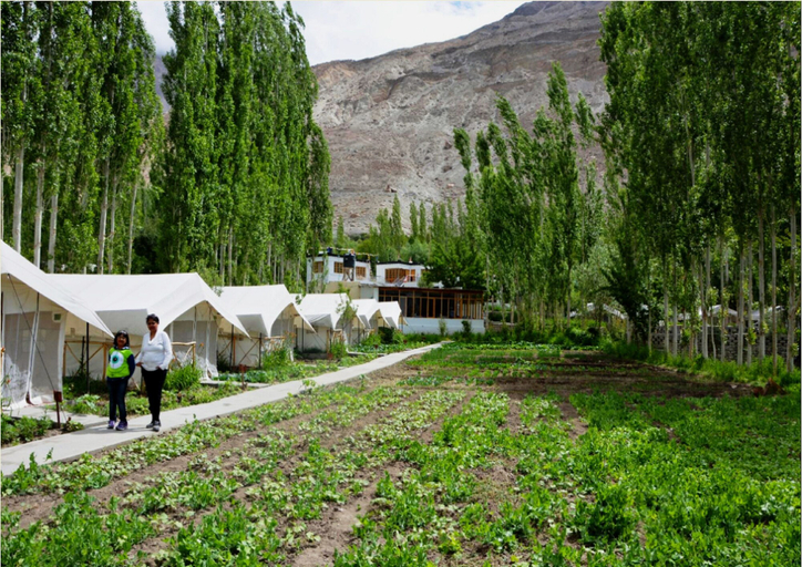 Exterior & Views 2, TIH Mystique Meadows Camp, Leh